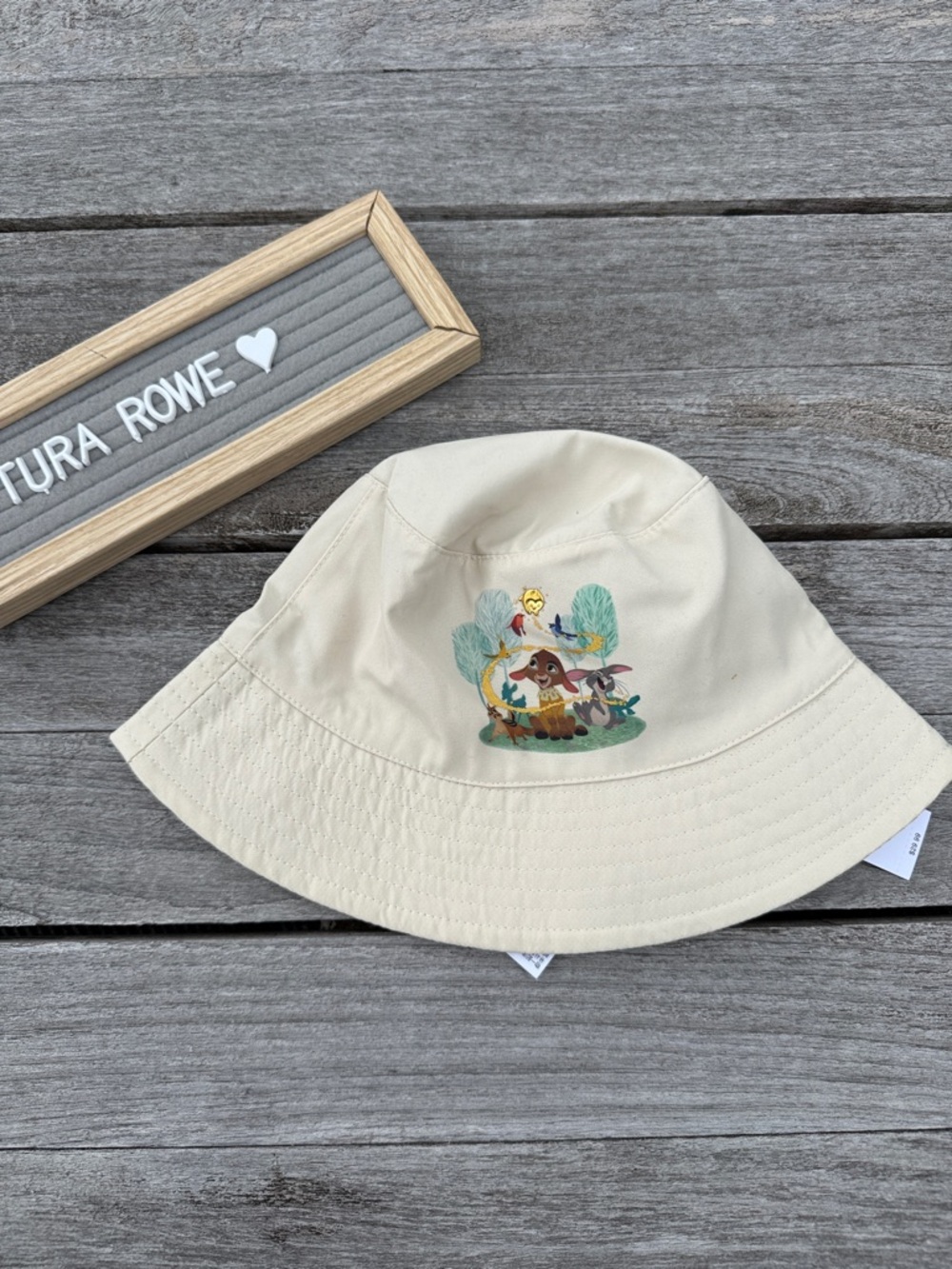 Disney Parks Wish Movie Valentino & Friends‎ Bucket Hat – NWT/Adult